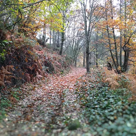 El Balcon Panoramico De Gredos شقة *