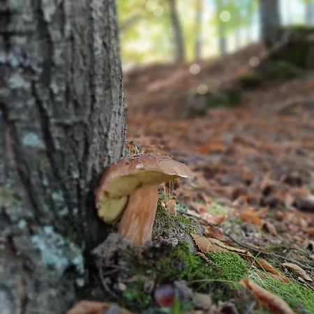 El Balcon Panoramico De Gredos * Mijares (Castile and Leon)