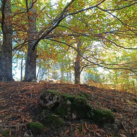 El Balcon Panoramico De Gredos * Mijares (Castile and Leon)