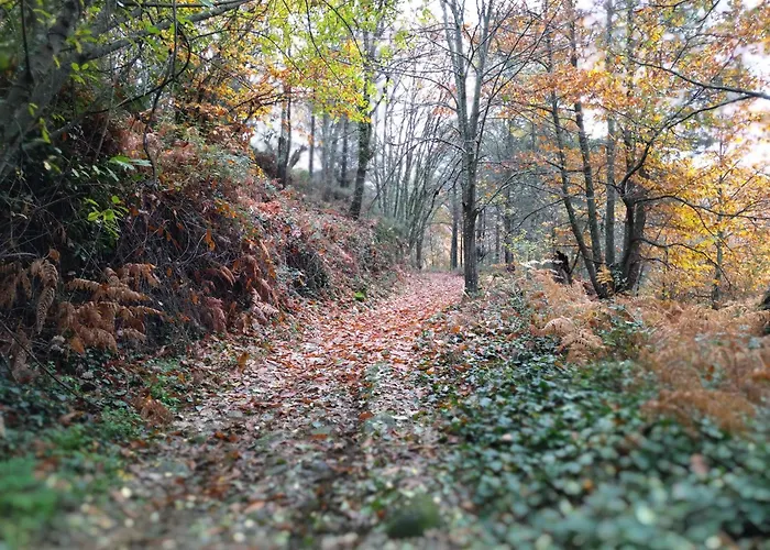 El Balcon Panoramico De Gredos 아파트 *