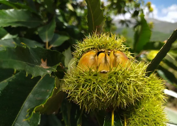 아파트 El Balcon Panoramico De Gredos *